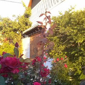 bodega cauzon